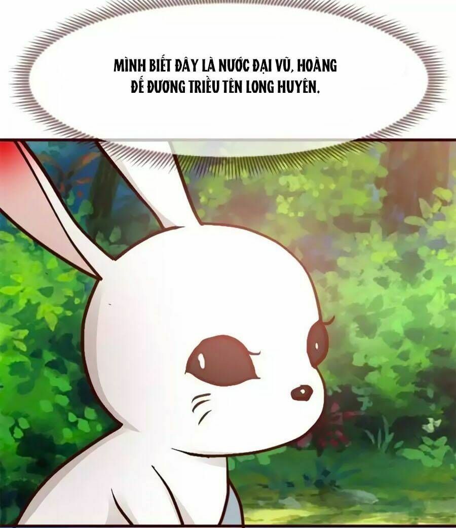 thỏ yêu tiểu vương phi chapter 1 11