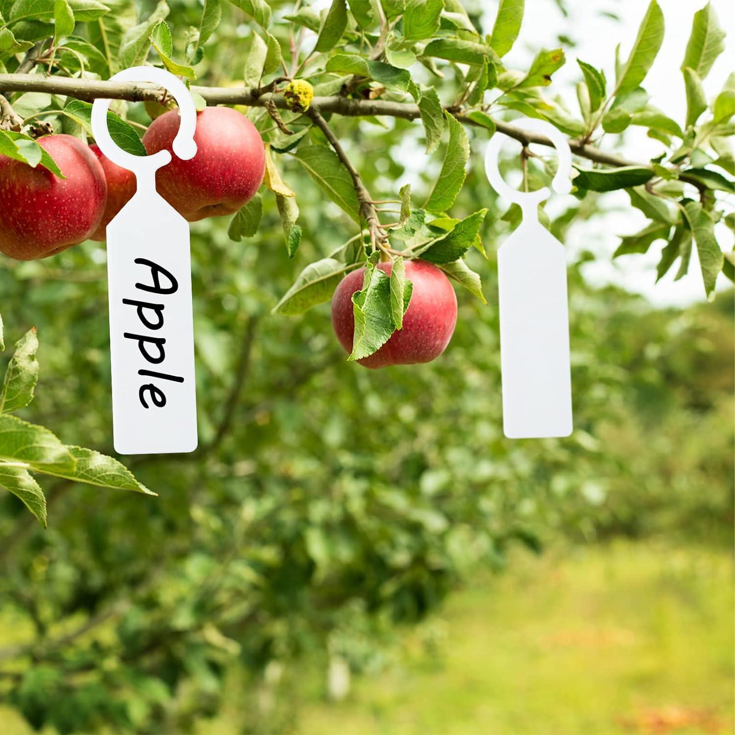 100 pcs cây cây dày nhãn nhựa treo nhãn vườn cho người làm vườn trắng