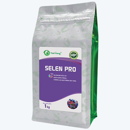 Bổ sung Selenium hữu cơ cho tôm cá SELEN PRO