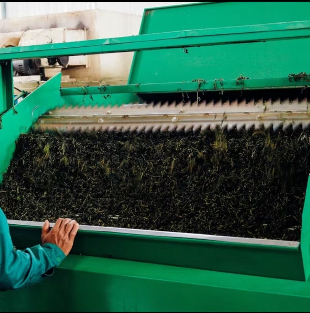 Trà Oolong Cầu Đất 1650 – Túi Giấy 100g | Hương cốm &amp; vị trà đậm – Thanh lọc cơ thể