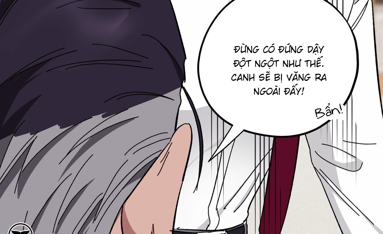 chàng dâu nhà họ kang chapter 37 174