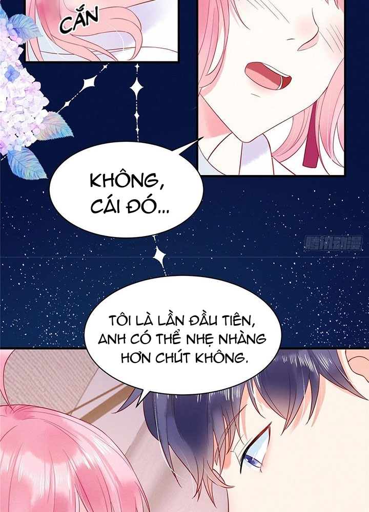 cô thỏ của chủ tịch sói chapter 2 19