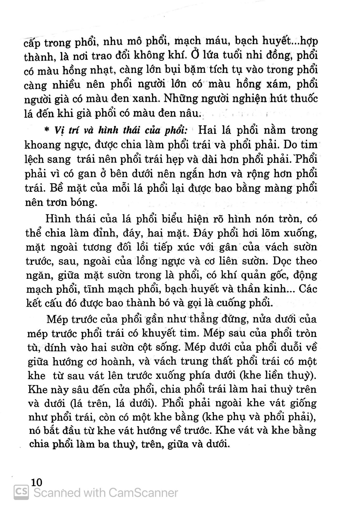 Cây Thuốc Vị Thuốc Phòng Chữa Bệnh Hô Hấp