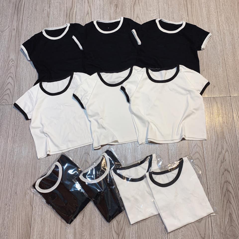 Áo Thun Croptop Nữ Body Viền