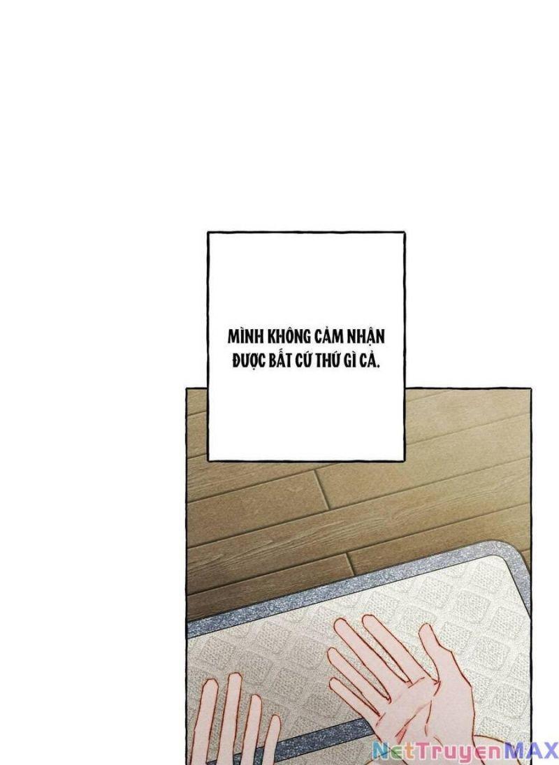 nuôi dưỡng một hắc long chapter 69.1 5