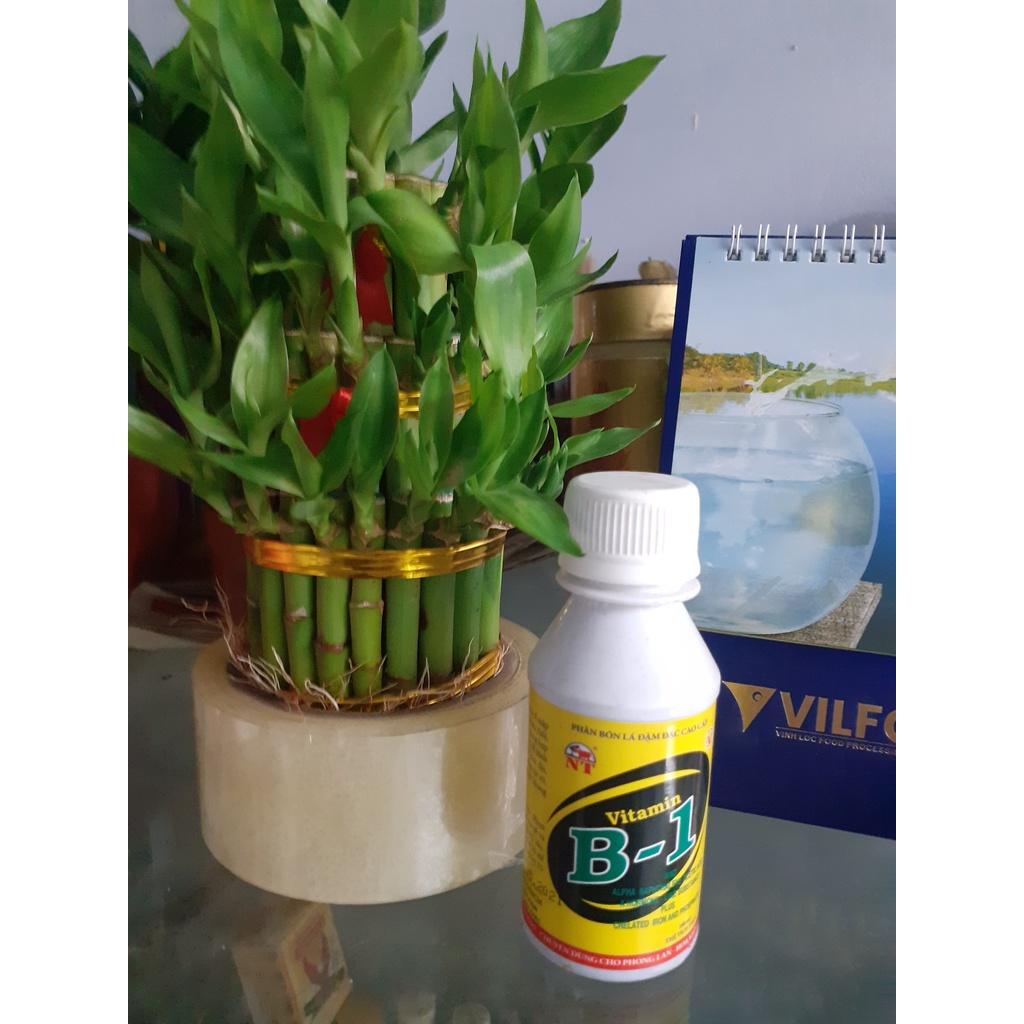 Chai 100ml ra rễ cực mạnh vitamin B1.