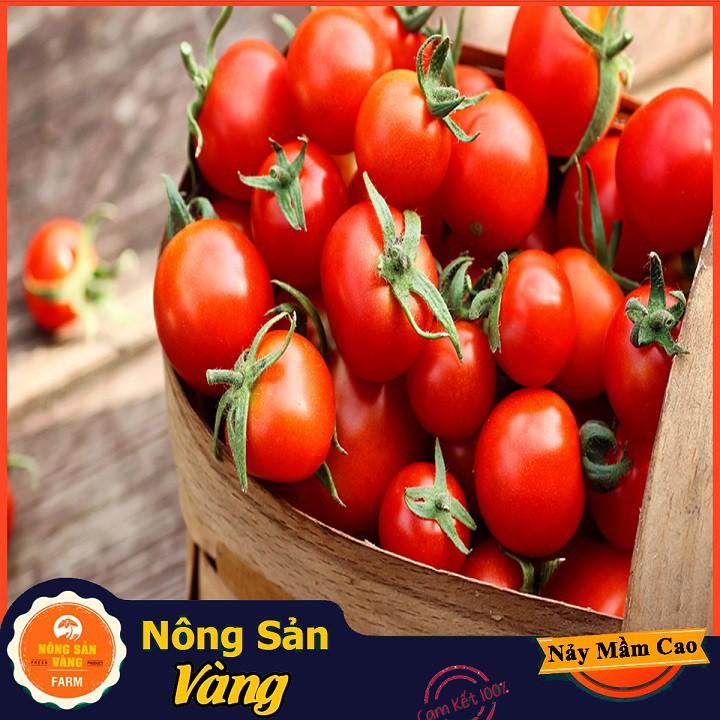 Hạt giống Cà Chua Cherry Đỏ ( Gói 20 hạt )