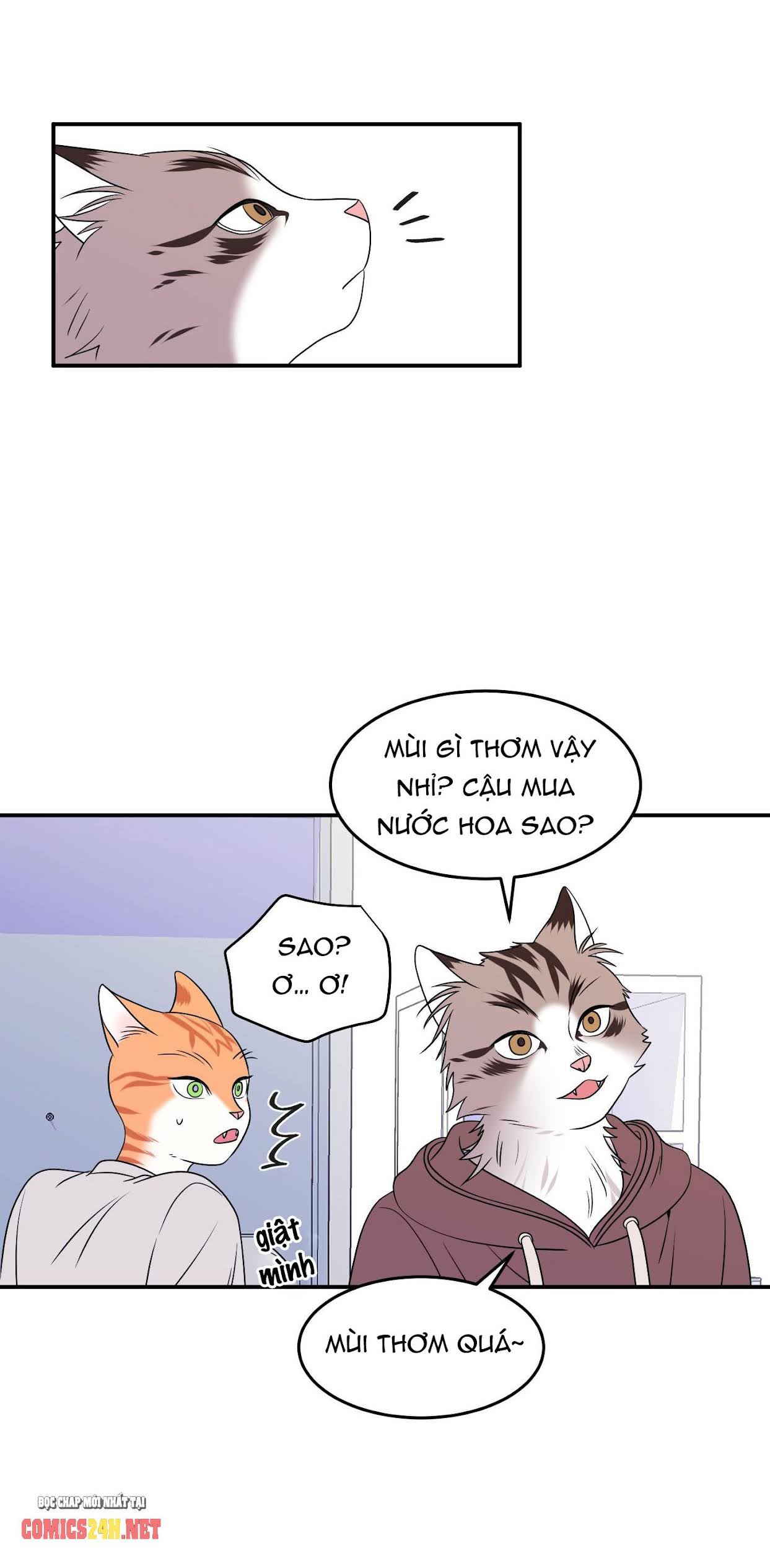 dự án xanh chapter 2 27