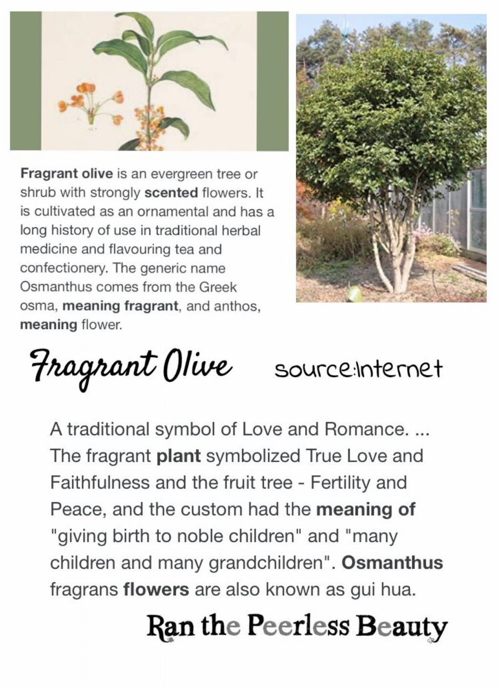 vẻ đẹp mĩ miều của ran-san chapter 6.3 15