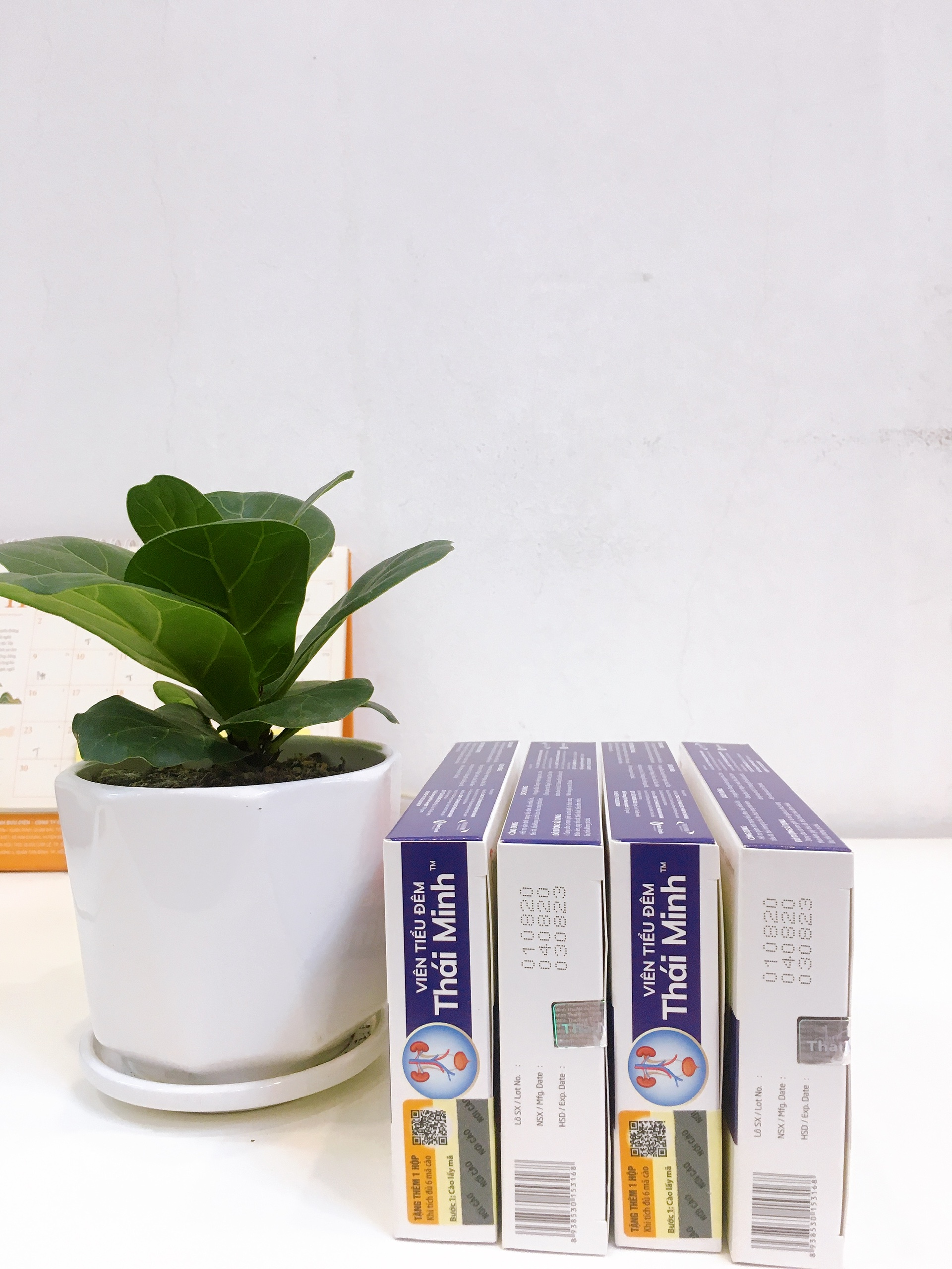 Combo 4 hộp Viên Tiểu Đêm Thái Minh