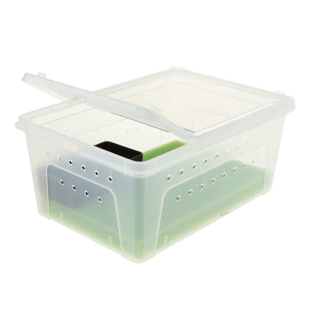 Reptile Amphibian Habitat Terrarium Vivarium Breeding Box
