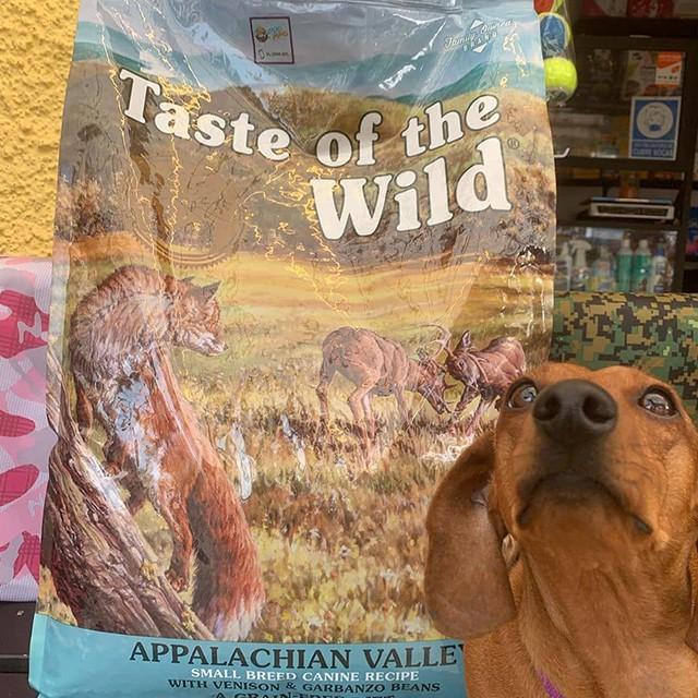 Thức Ăn Cho Chó Chihuahua Taste Of The Wild Bao 500g - Appalachian Valley Thịt Nai &amp; Đậu Garbanzo