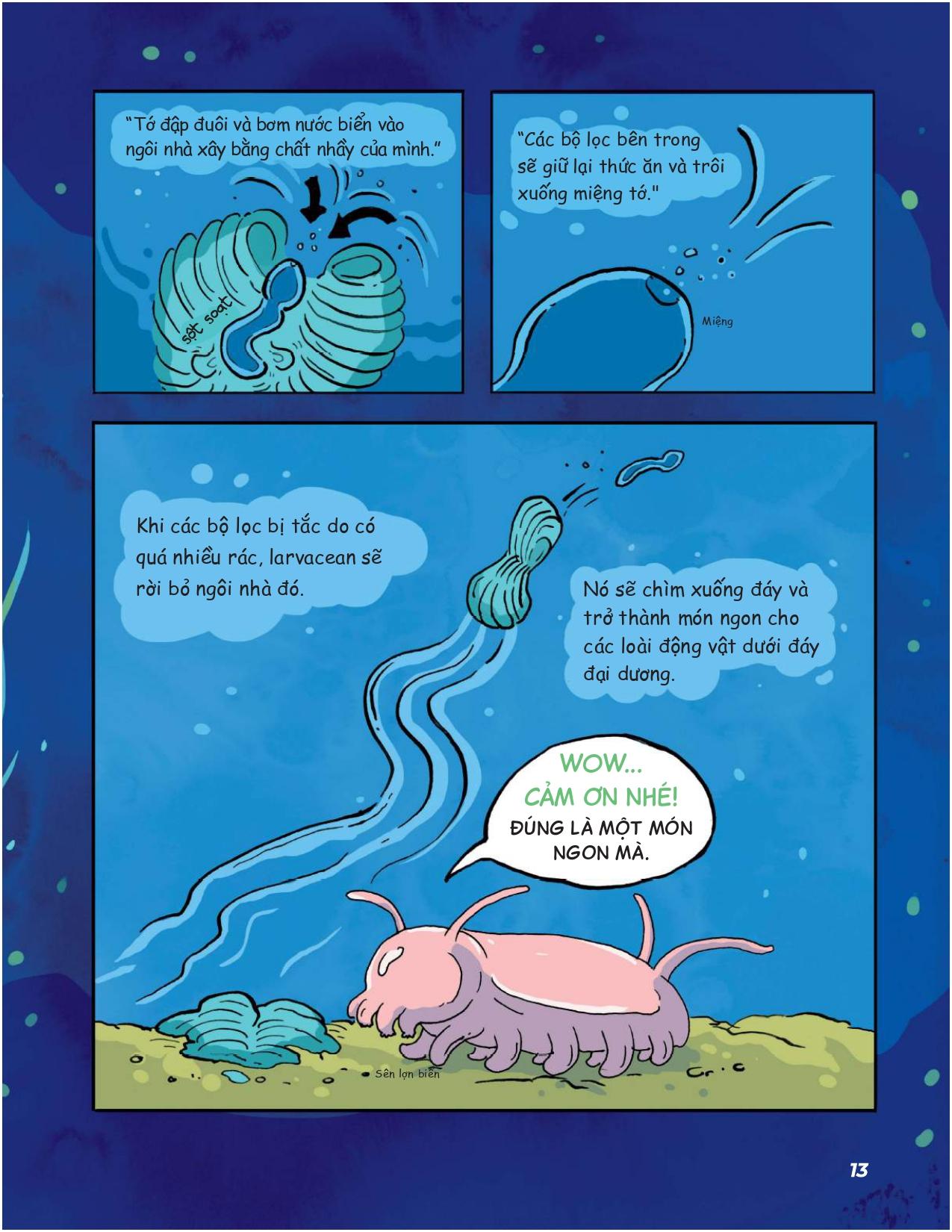 Siêu Nhí Khám Phá Đại Dương