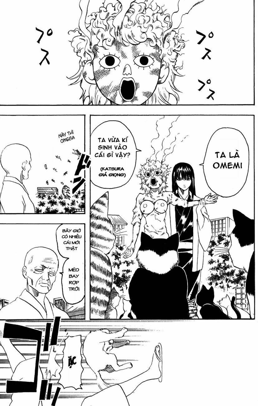 gintama - linh hồn bạc chapter 209 11