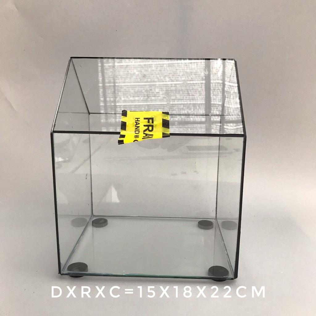 Bể Terrarium Đa Giác Setup Bán Cạn Để Bàn Làm Việc-Vườn Nhiệt Đới