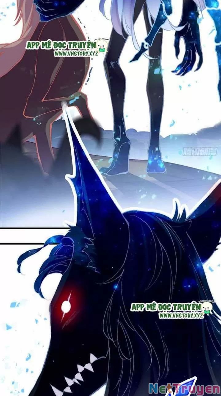 lại bị bệnh chiều chuộng quấn lấy chapter 13 50