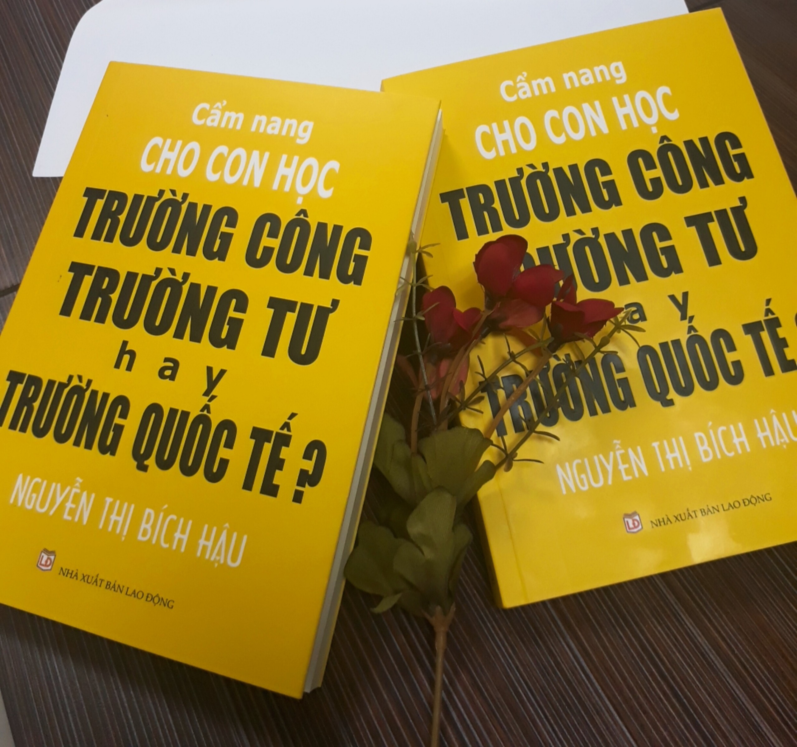 Cẩm nang cho con học trường công, trường tư hay trường quốc tế