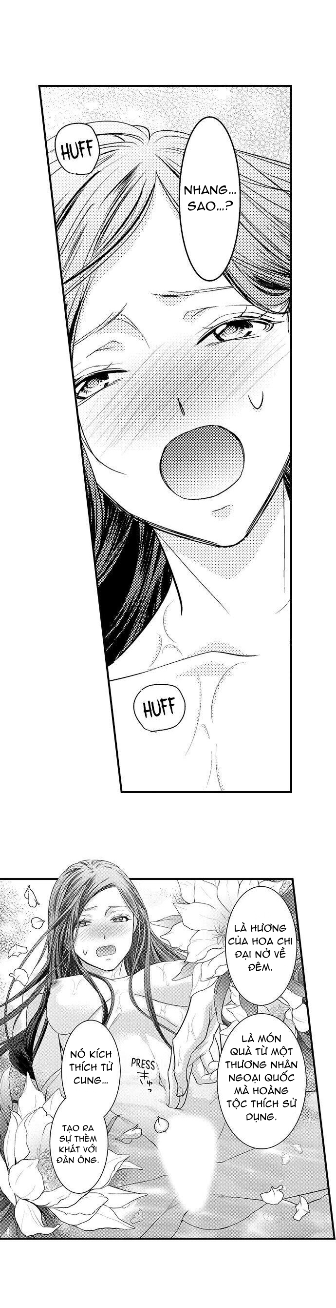 chuyển sinh vào thế giới khác ~ nếu muốn trở thành nữ hoàng hãy tìm cách để được hoàng đế sủng ái vào ban đêm chapter 5.2 4