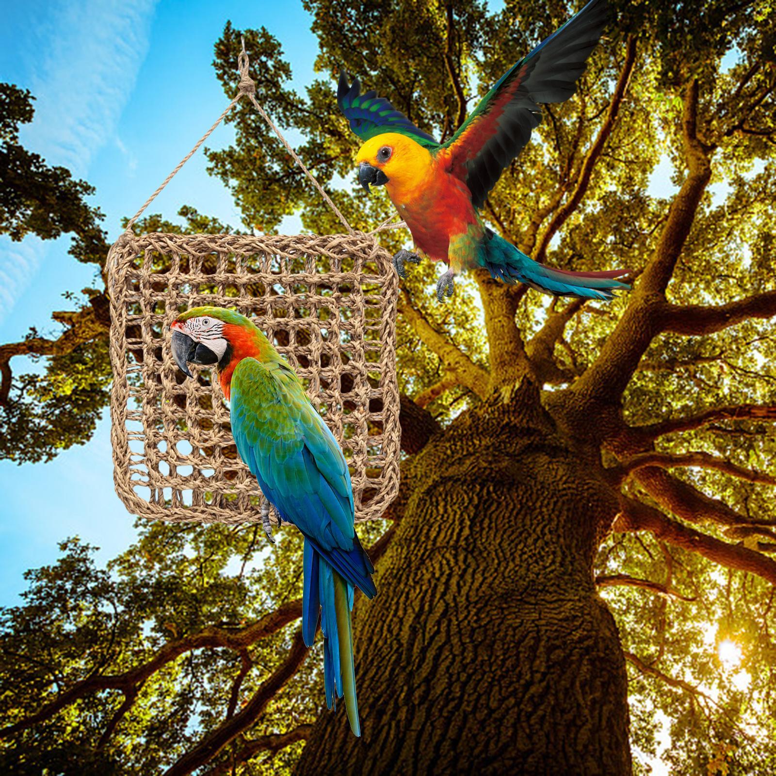 2X Climbing Ladder Hammock Climbing Net for Bird Cage Canaries