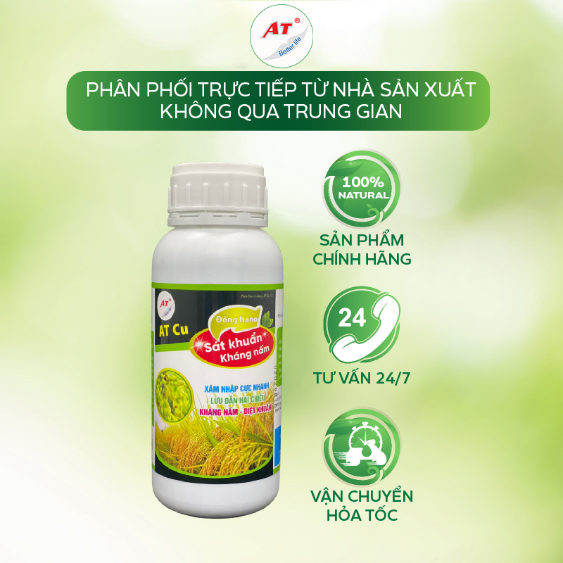 Chống bạc lá, sọc đen vi khuẩn chuyên lúa – Nano Đồng lúa 500ml