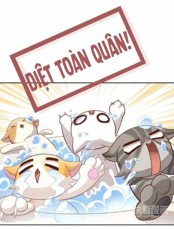 miêu trảo chi hạ chapter 1 34