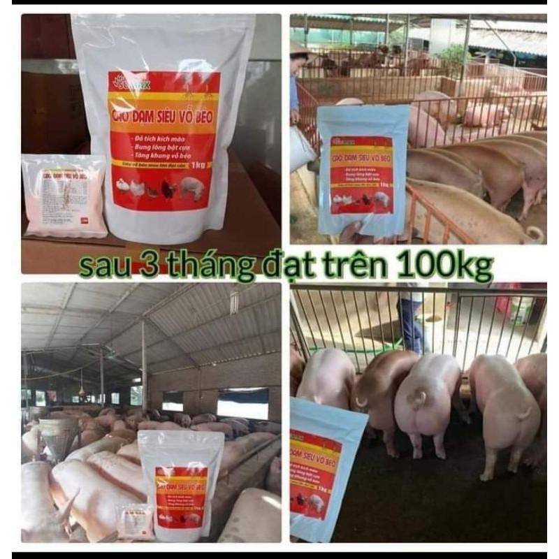 CAO ĐẠM SIÊU VỖ BÉO