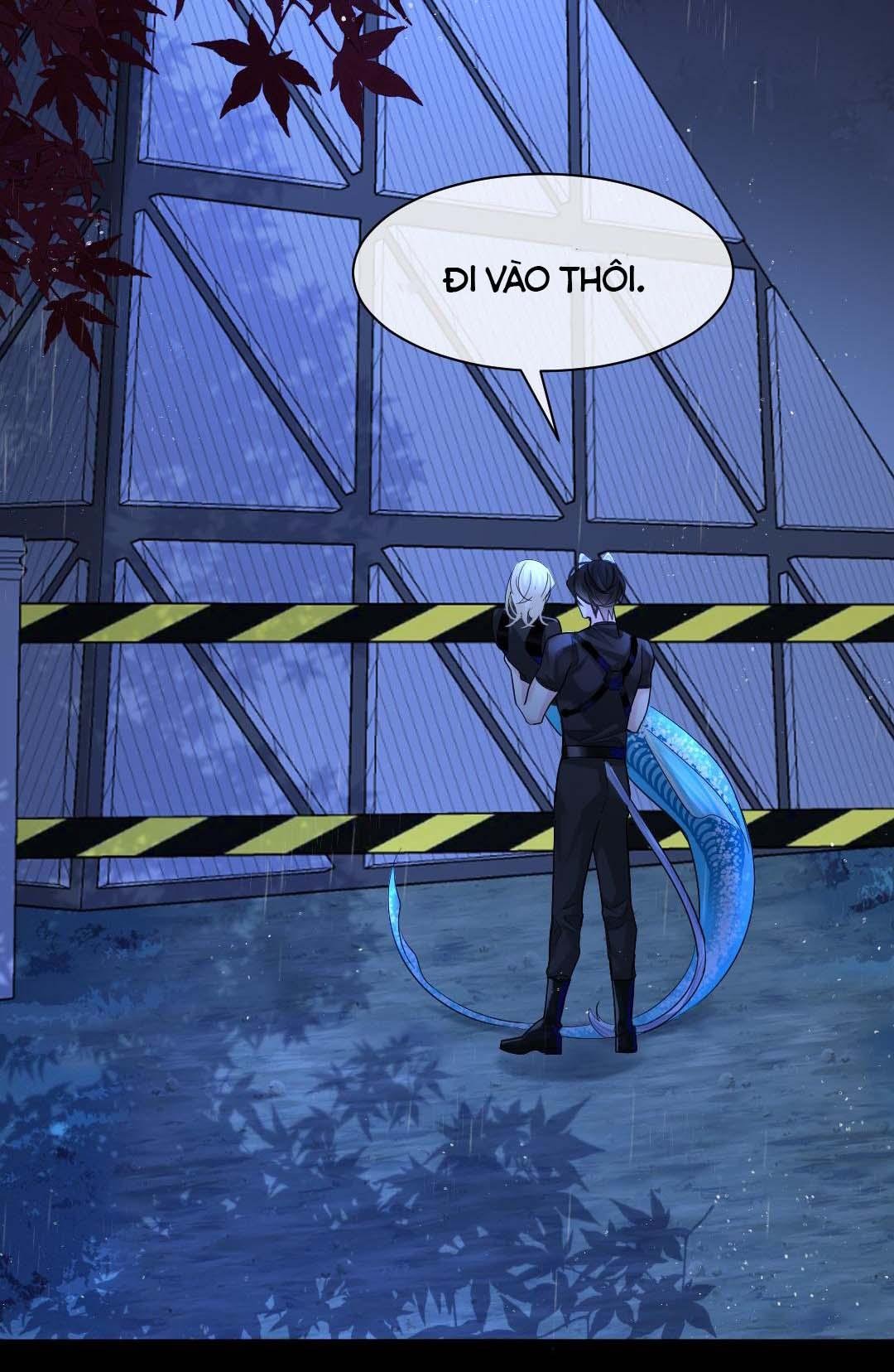 nhân ngư sa ngã chapter 29 27