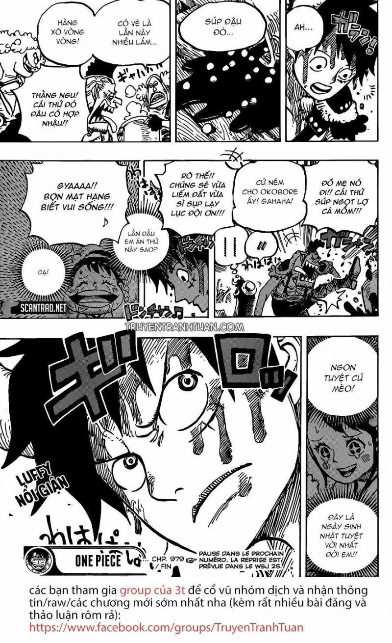 đảo hải tặc - one piece chapter 979 16