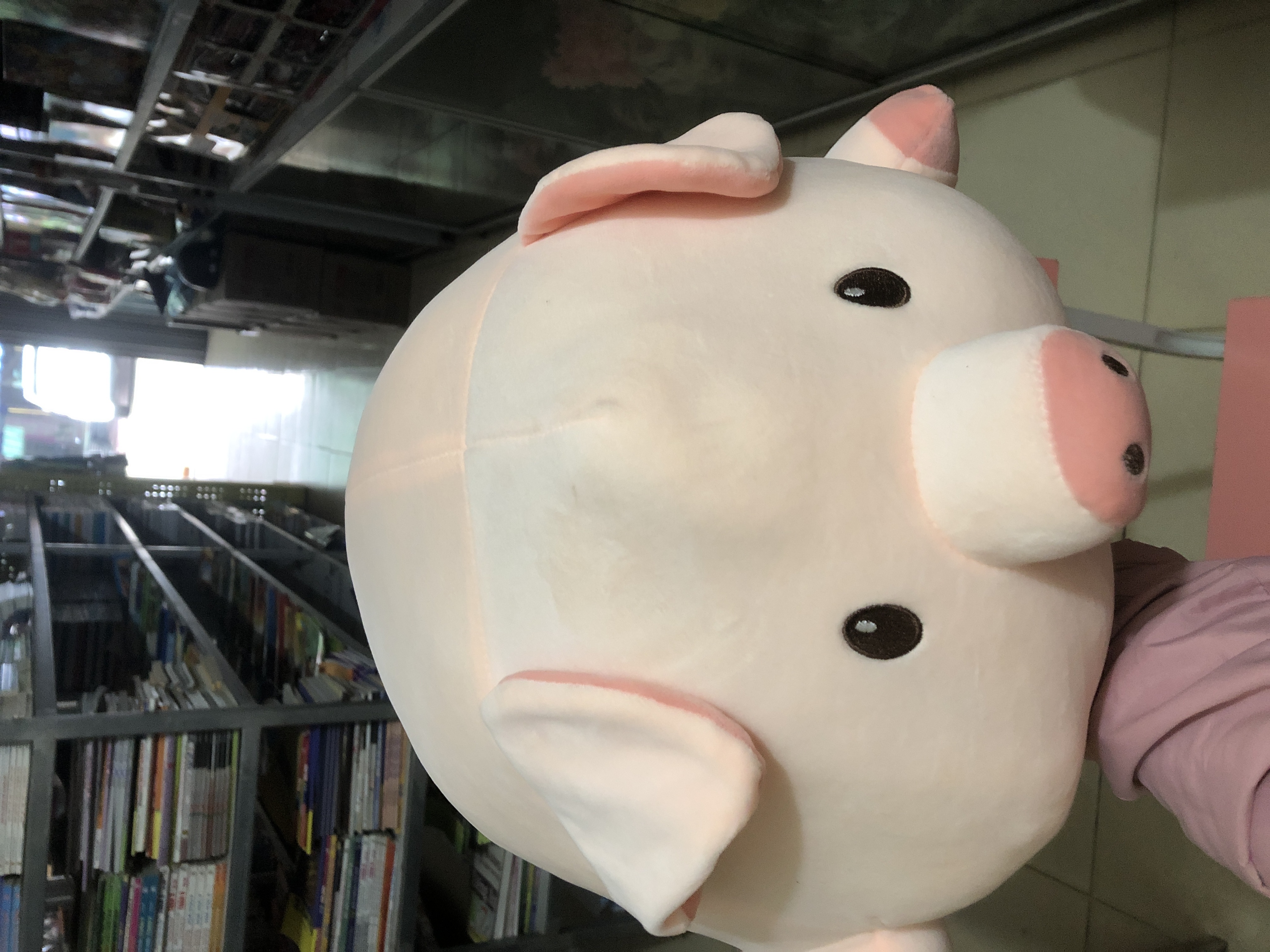 Lợn bông tròn nằm siêu cute size 50cm
