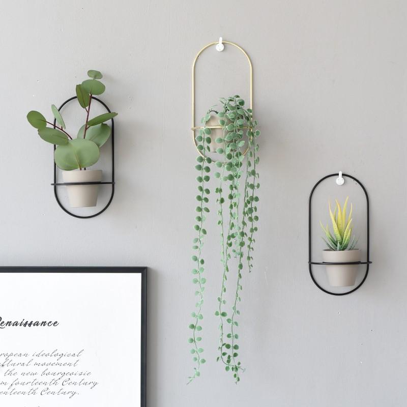 Chậu Trồng Cây Bằng Nhựa