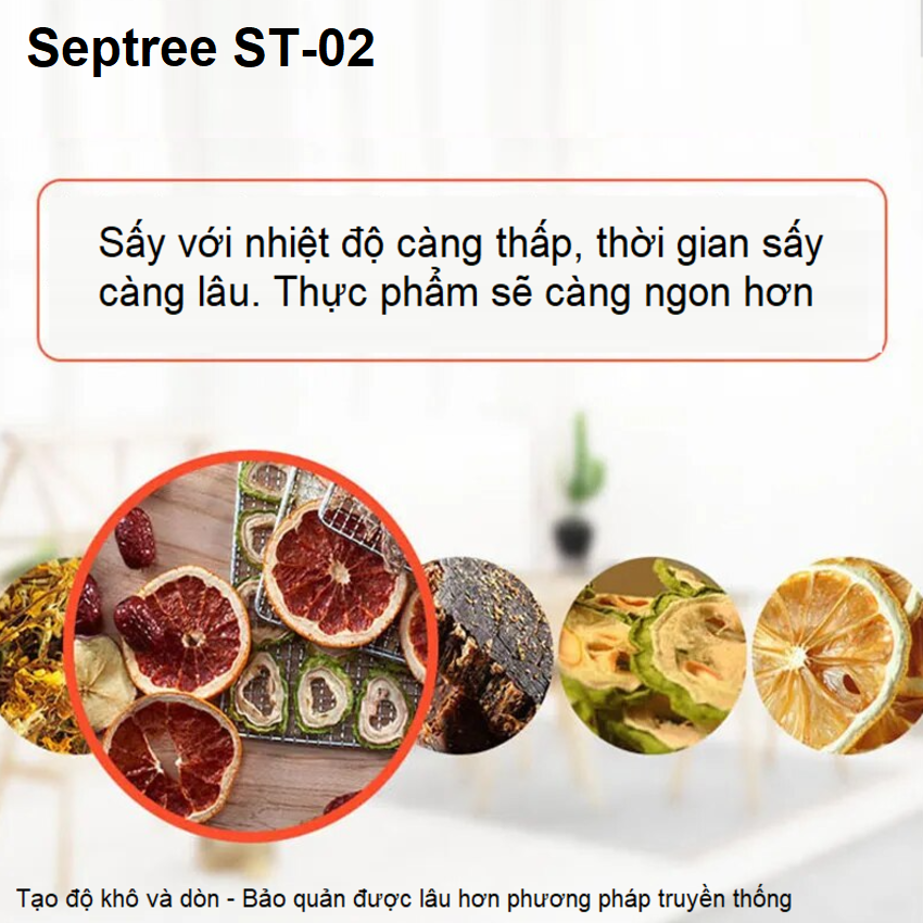 Máy sấy thực phẩm chuyên nghiệp 16 khay, dung tích 100 lít thương hiệu Septree ST-02 cao cấp - Hàng Chính Hãng