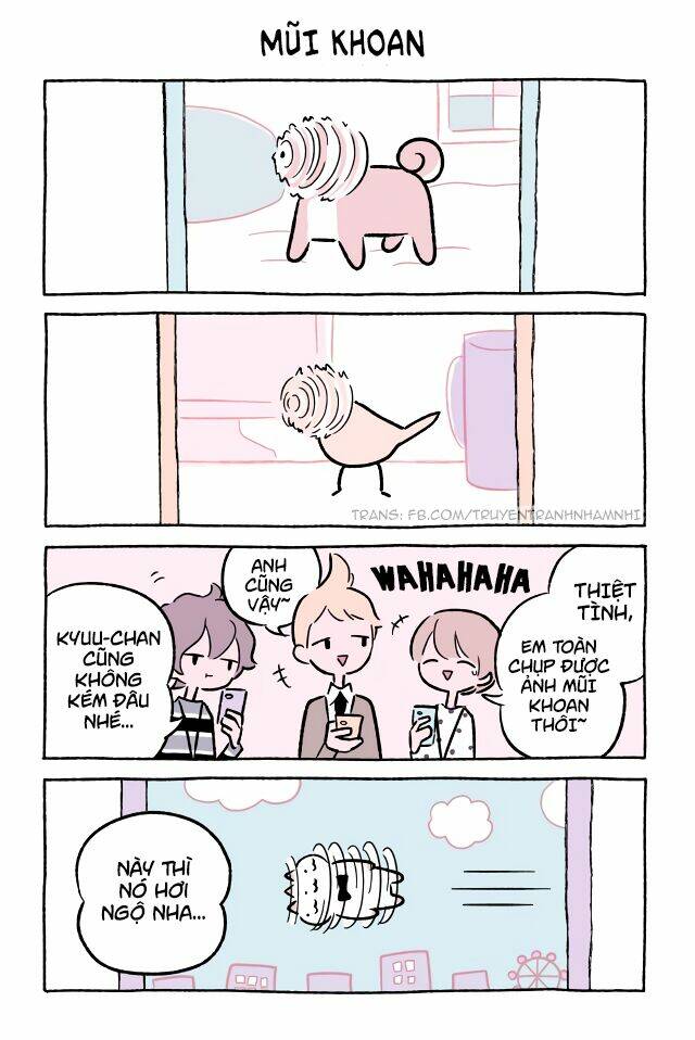 chú mèo kỳ diệu kyuu-chan chapter 484 2