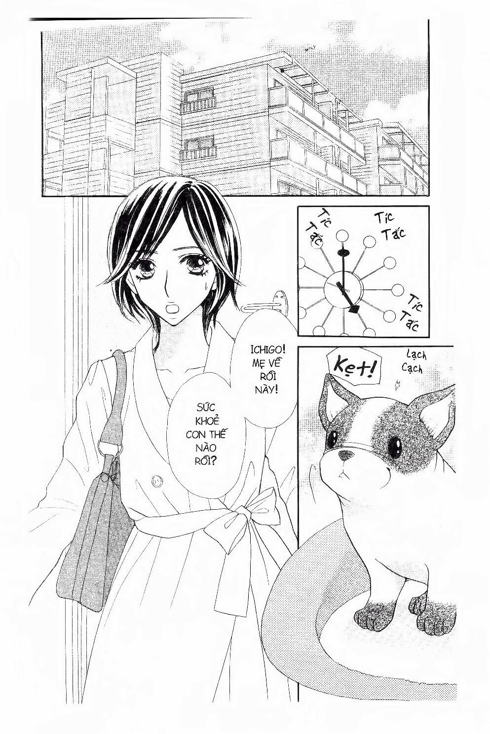 ichigo to anzu chapter 41 13