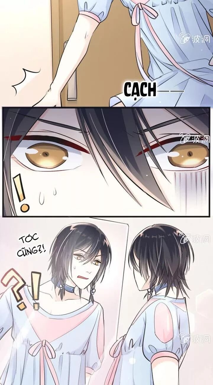 ảnh đế cầu sủng chapter 12.5 8