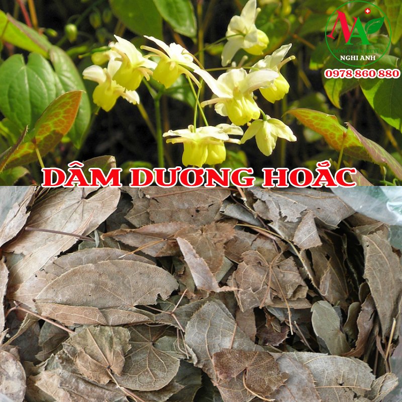 Lá Dâm Dương Hoắc 500g Loại Đẹp