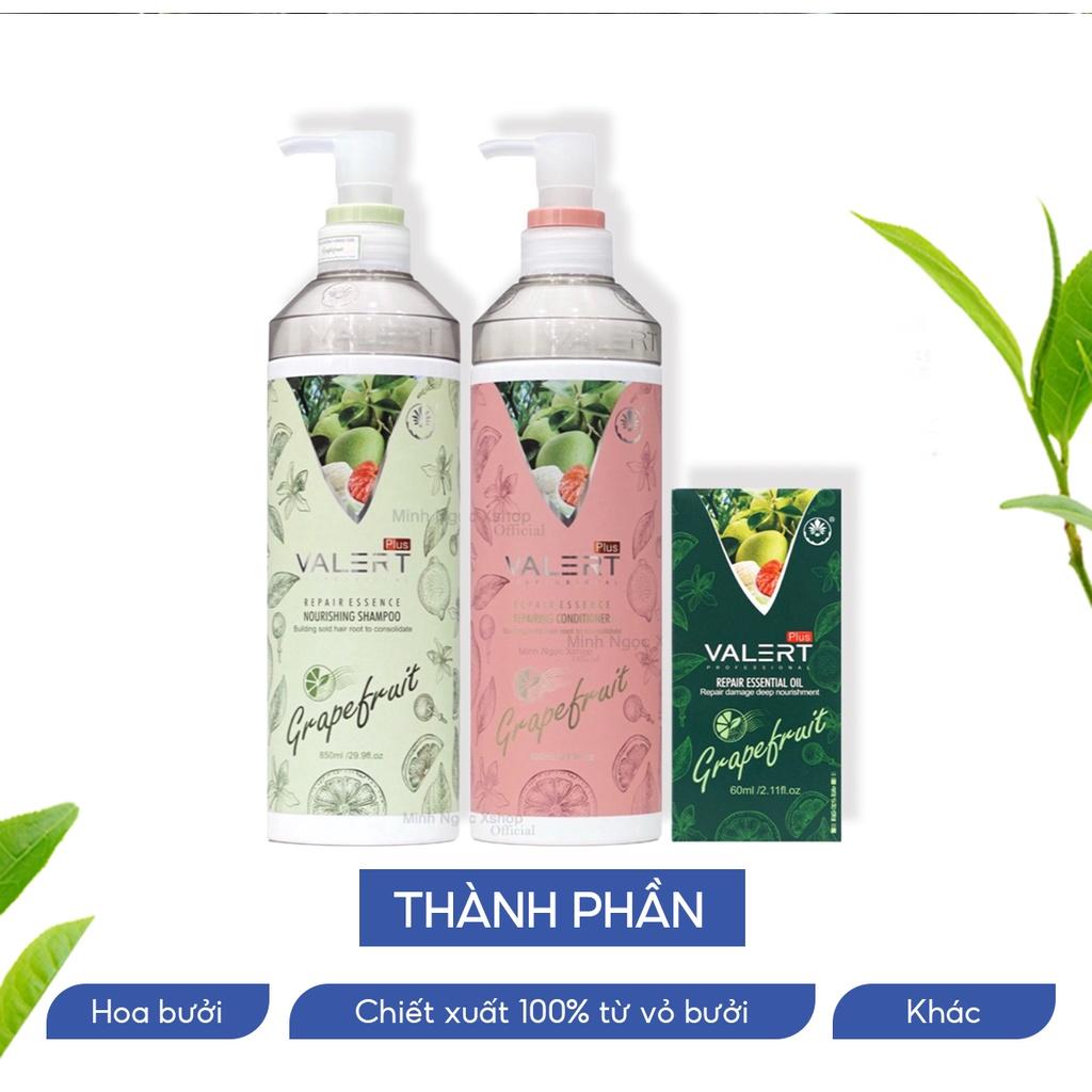 Dầu gội xả bưởi chống rụng kích thích mọc tóc VALERT GRAPEFRUIT 850ml tặng dầu dưỡng 60ml