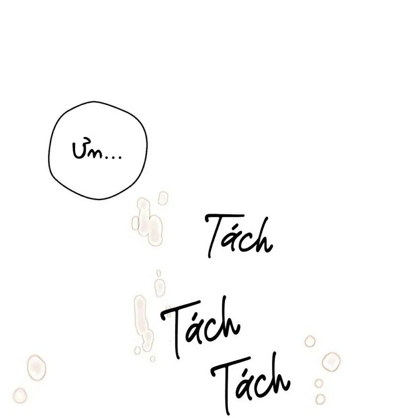 người chồng trẻ tuổi chapter 2 43