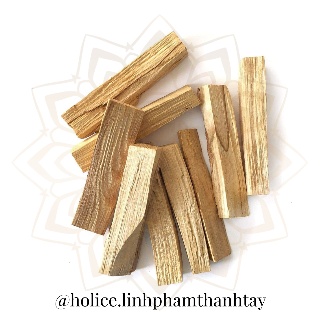 1 Que Gỗ Thánh Palo Santo Holice Thanh Tẩy Đồ Vật, Không Gian Sống, Tái Tạo Năng Lượng, Giảm Stress