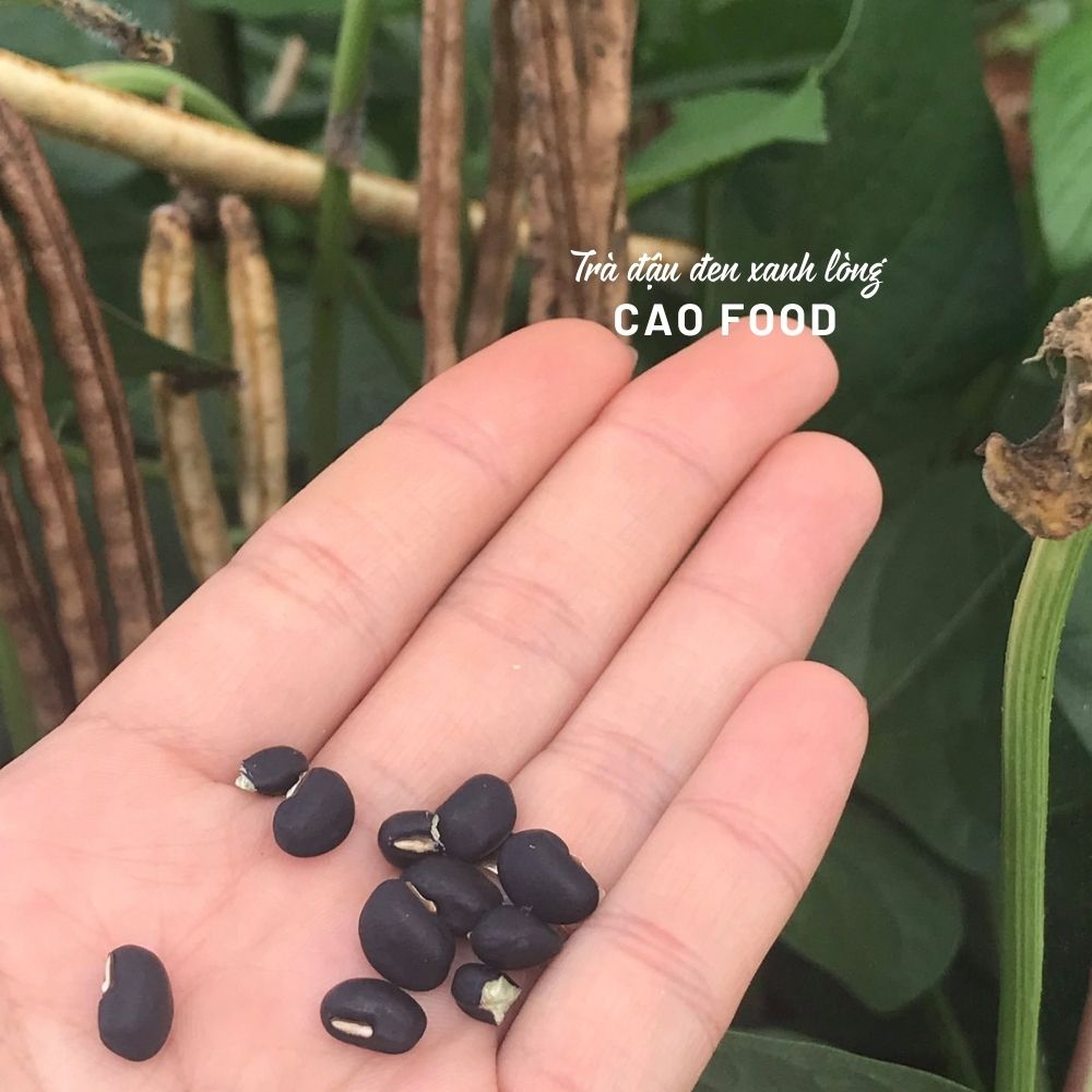 Trà đậu đen xanh lòng CAO FOOD từ hạt giống nguyên bản Đaklak dân trồng sạch tự nhiên 100%