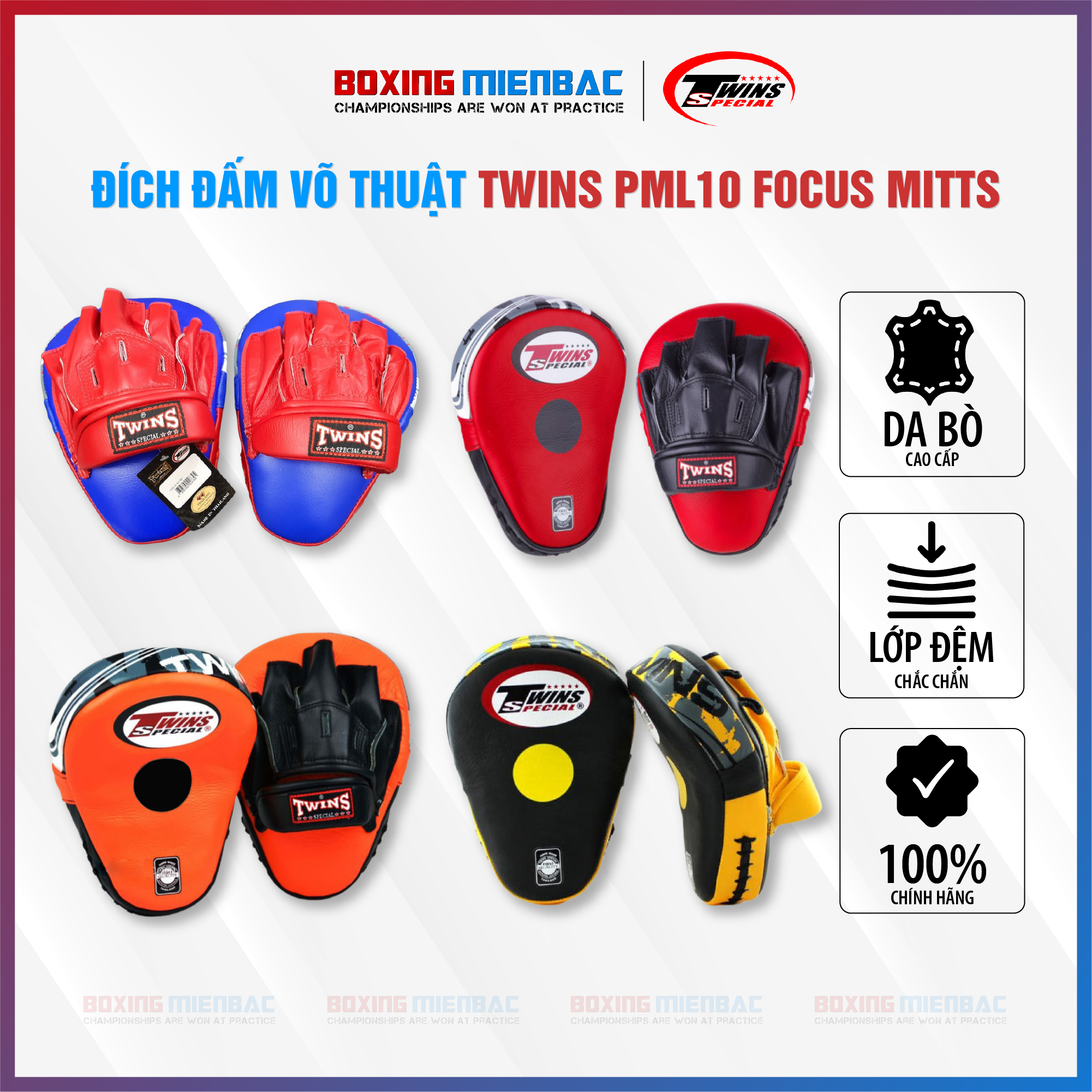 ĐÍCH ĐẤM VÕ THUẬT TWINS PML10 FOCUS MITTS