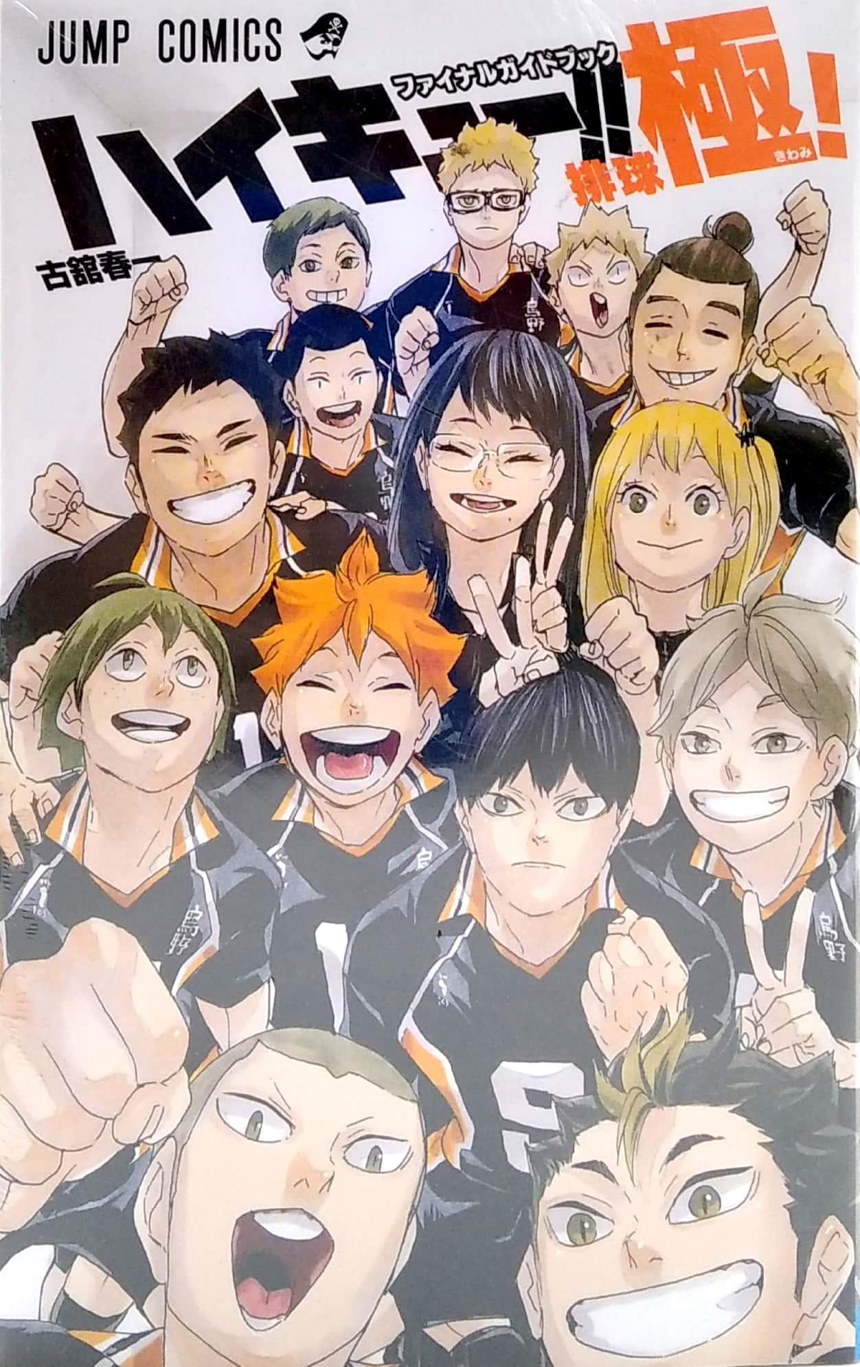 Haikyu!! Final Guide Book (Japanese Edition)