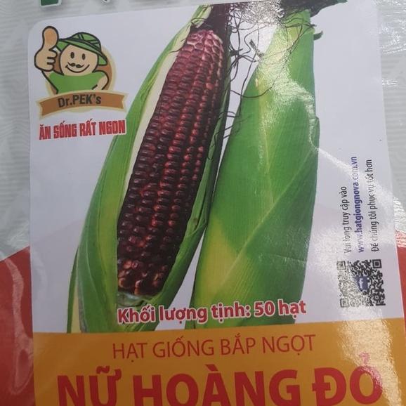 Hạt giống bắp nữ hoàng đỏ ( 1 gói 50 hạt )