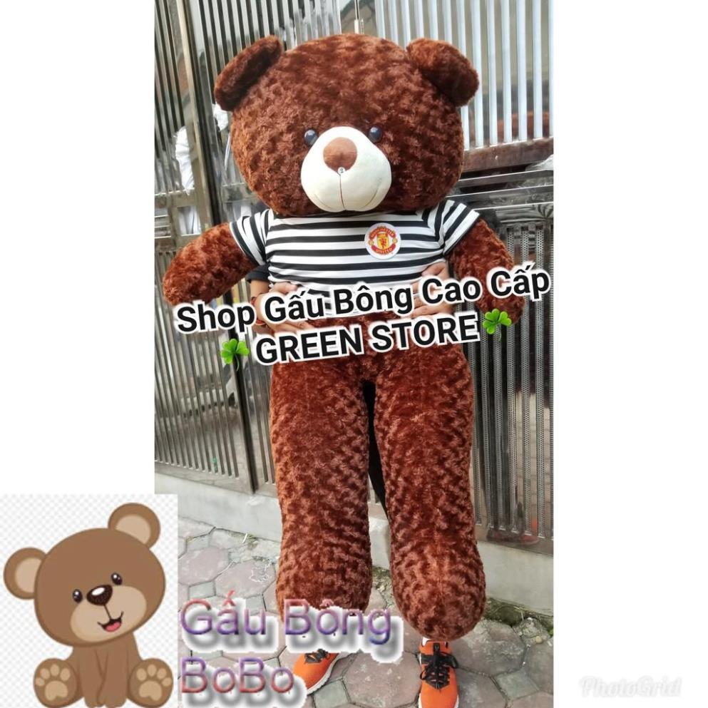 1M4 khổ, Gấu Bông teddy 1m4 khổ cao 1M2 Rẻ Vô Địch