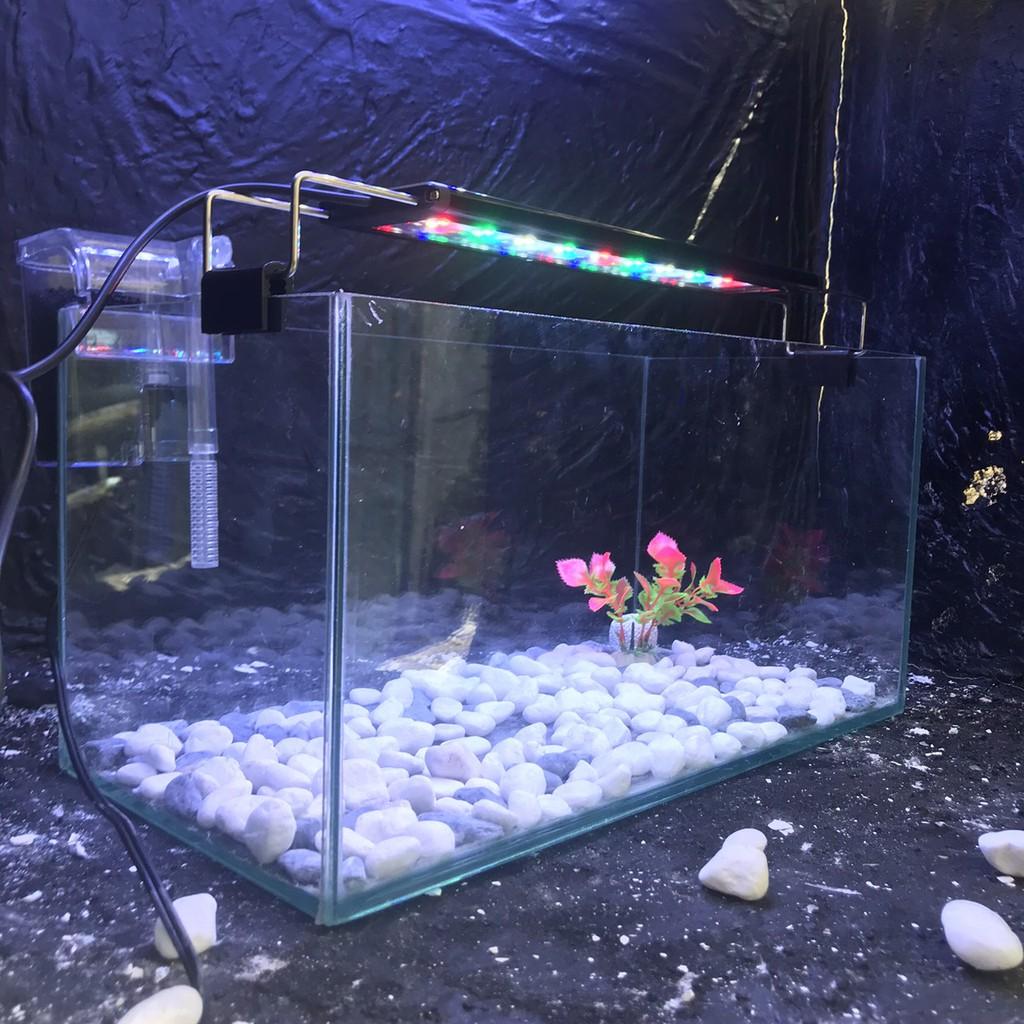 Bể cá mini 40cm COMBO đầy đủ có đèn led siêu dễ thương 3 chế độ sáng