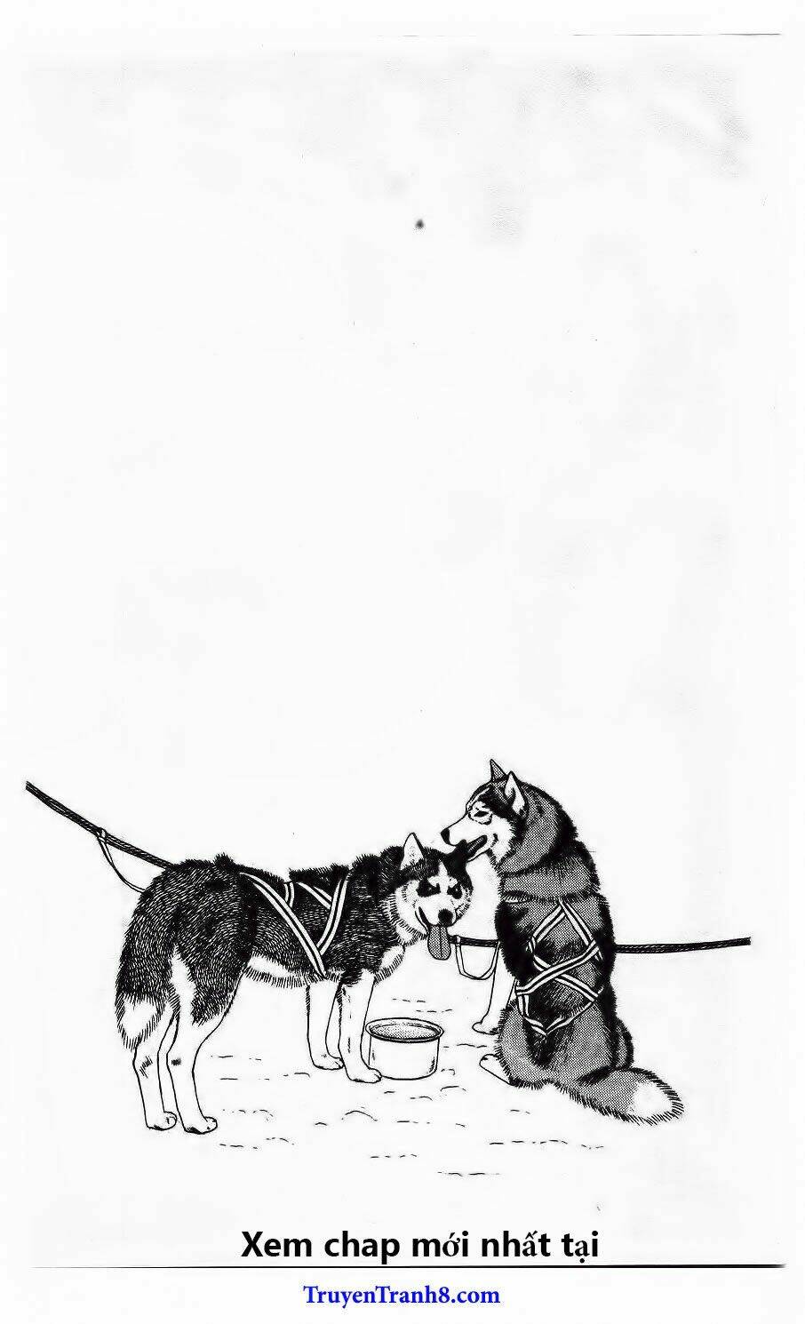 bác sĩ thú y chapter 102 23