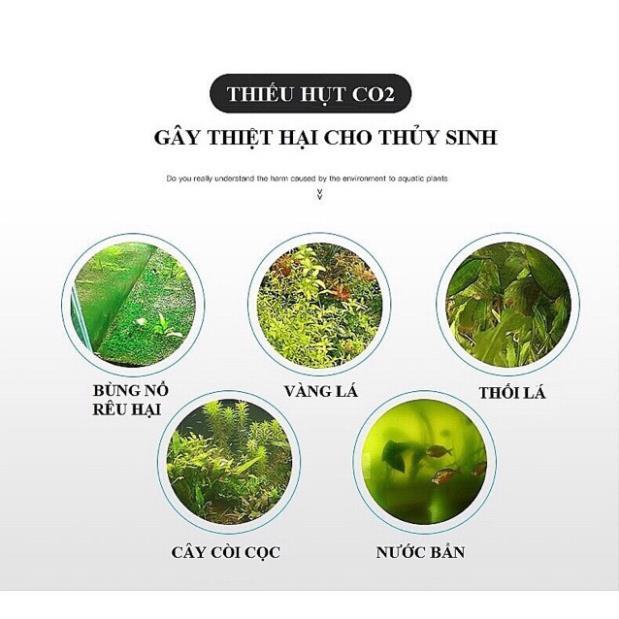 Viên Nén CO2 & Phân Nhét Cho Bể Thuỷ Sinh - XEM KỸ PHÂN LOẠI