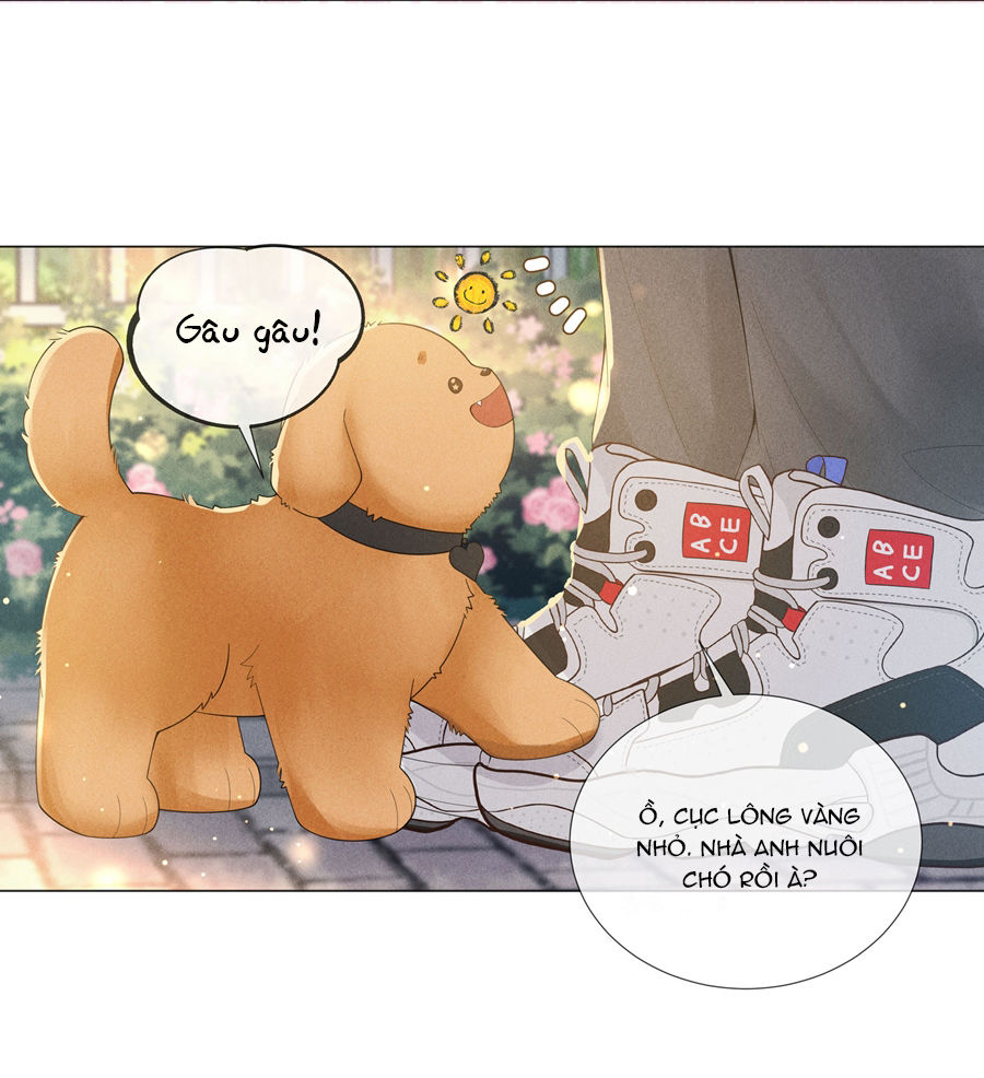 dior tiên sinh chapter 48 40