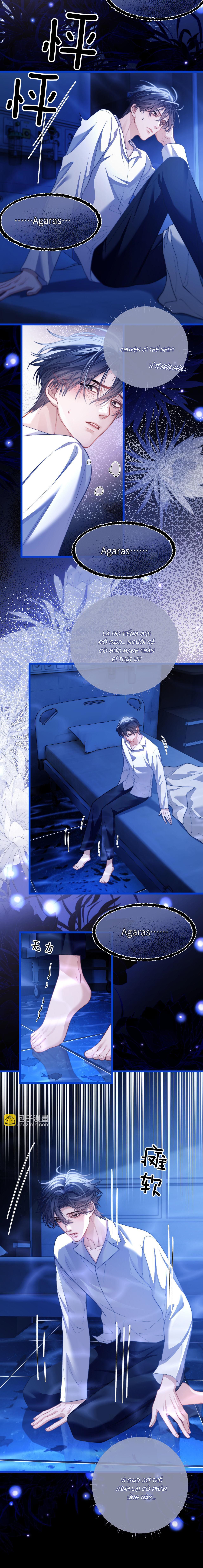 người cá desahrow chapter 13 8