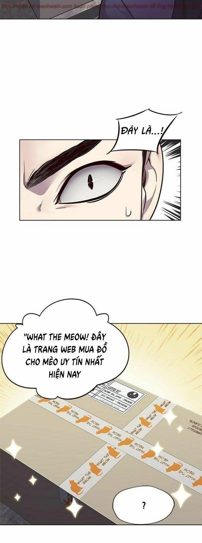 biến thân thành mèo chapter 39 36