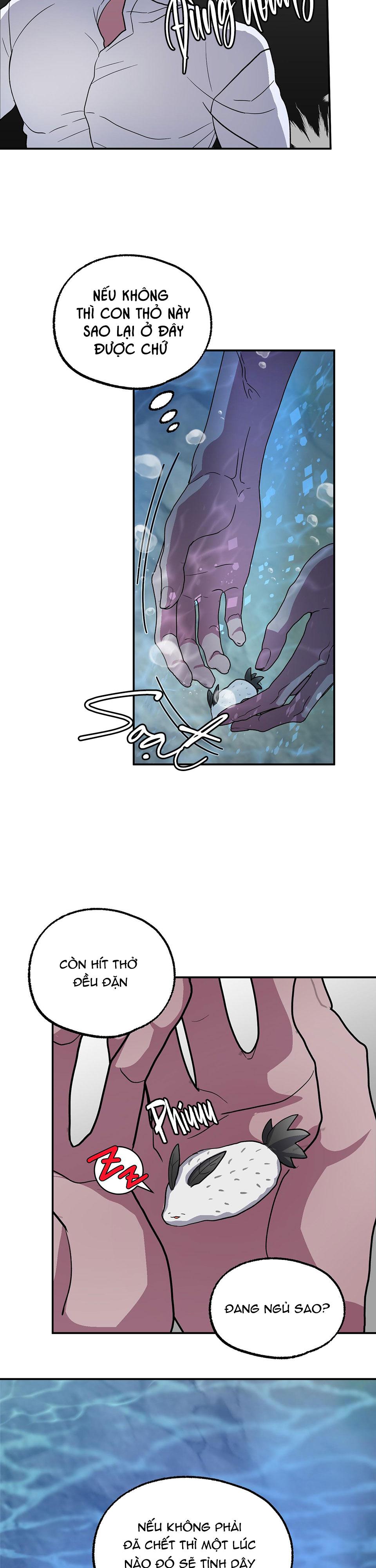 cá mập và cô dâu thỏ chapter 1 19